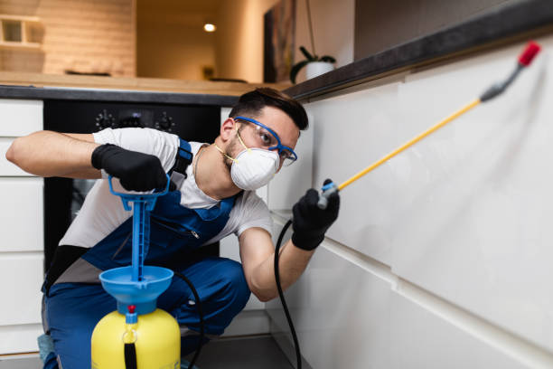 Best Bed Bug Extermination  in Brown Deer, WI