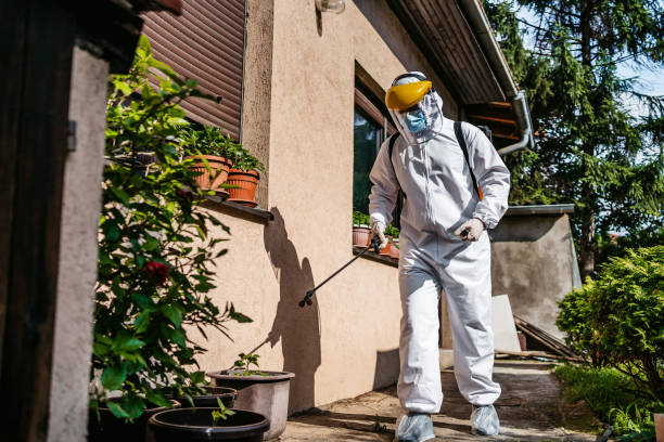 Best Termite Control Services  in Brown Deer, WI