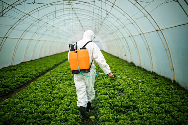 Best Pest Control for Restaurants  in Brown Deer, WI