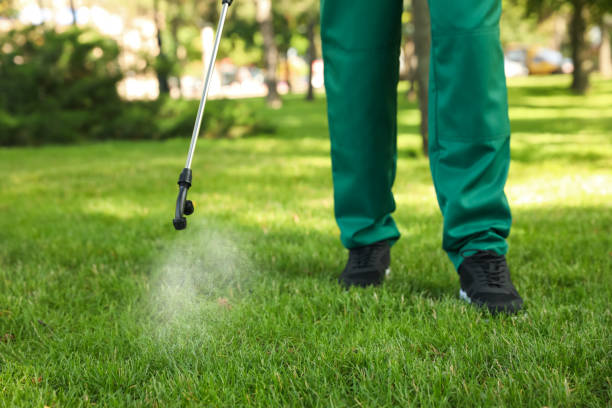 Best Cockroach Control Services  in Brown Deer, WI