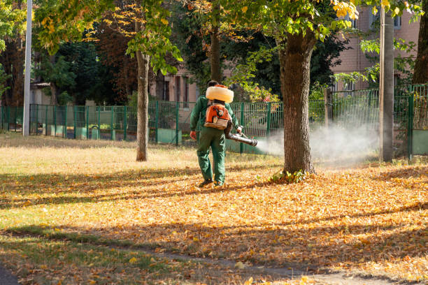 Best Pest Prevention Services  in Brown Deer, WI