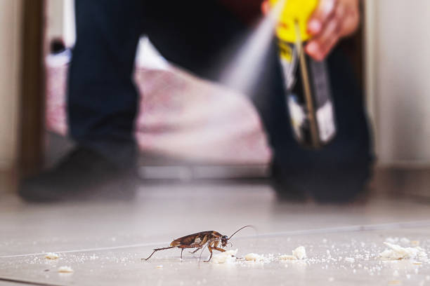 Best Bed Bug Extermination  in Brown Deer, WI