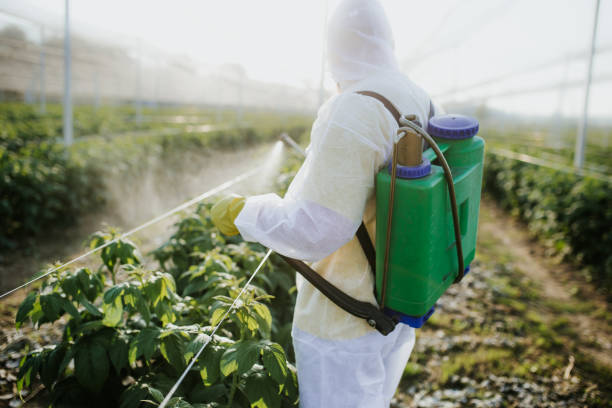Pest Prevention Services in Brown Deer, WI